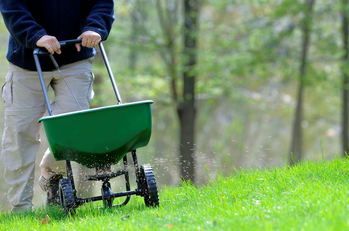 Image of a green lawn with a person pushing a fertilizer to fertilize the lawn as part of landscape maintenance services.