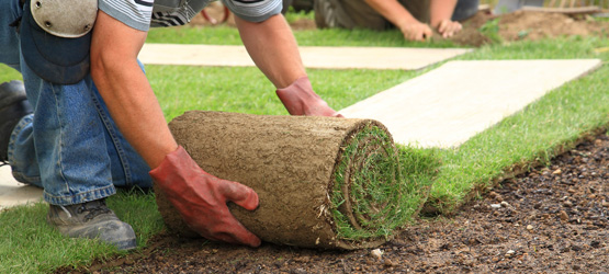 residential front yard installation - sod