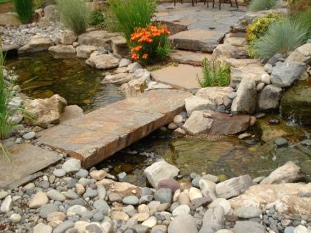 Image of a paver pathway crossing a mini pond water feature designed by Frontier Landscaping.