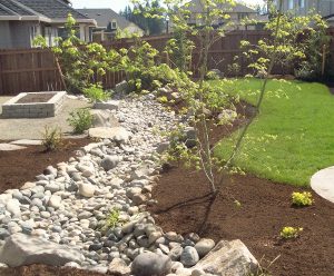Dry creek bed, drainage solution, solving water problems