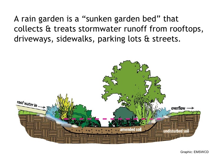 A rain garden is a sunked garden bed that collects and treats stormwater runoff from rooftops, driveways, sidewalks, parking lots, and streets.