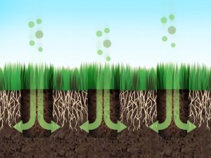How lawn aeration works