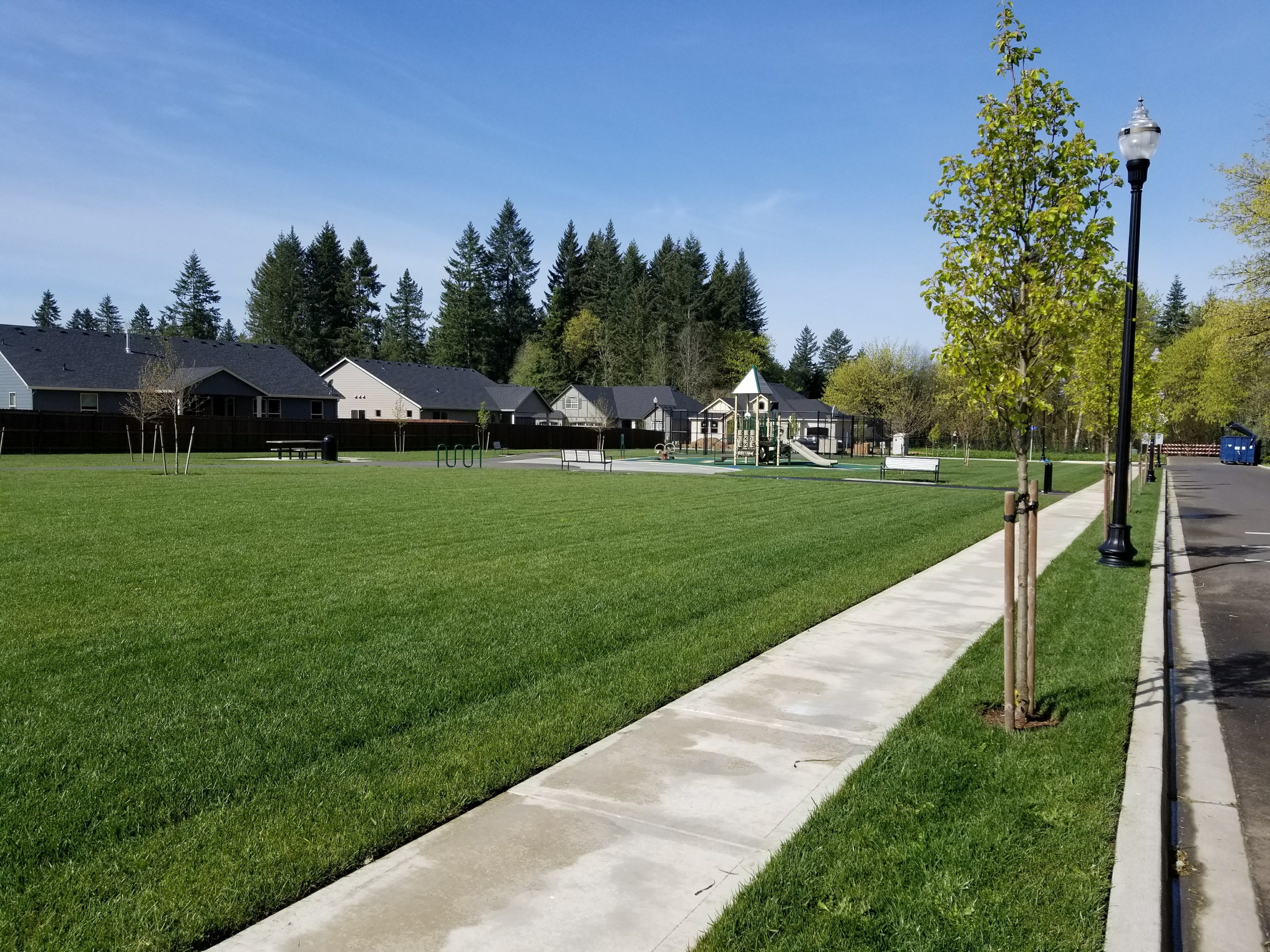 Image of a large lawn in a park beautified with commercial landscape maintenance.