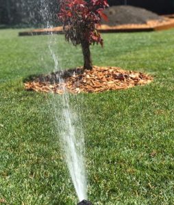 Image of a sprinkler system and a green lawn with a tree in the background - set up through Frontier's irrigation services.