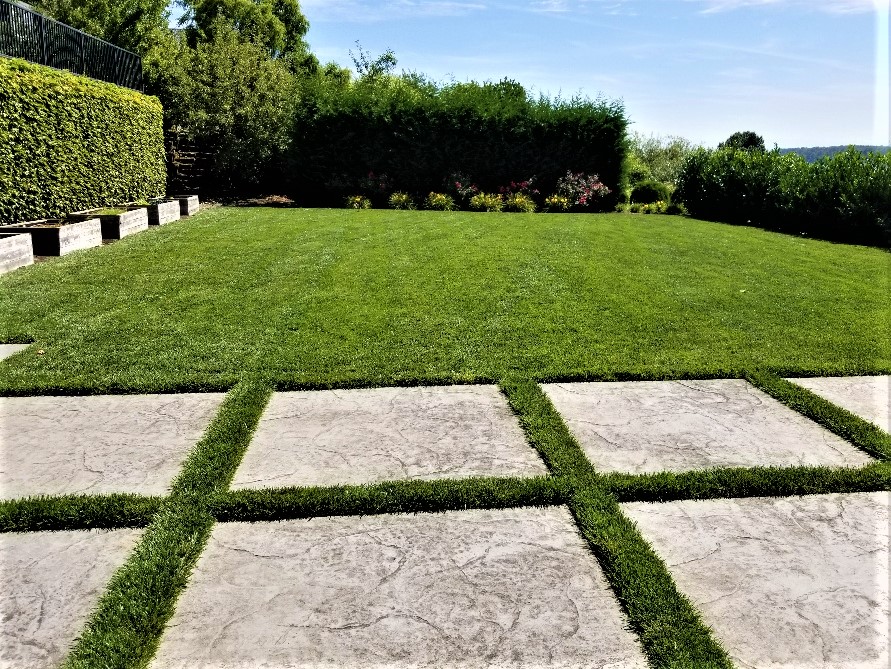 Image of a perfectly mowed lawn, performed as part of landscape maintenance services.