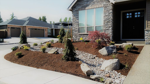 rain gardens absorb water, making it a great drainage solution