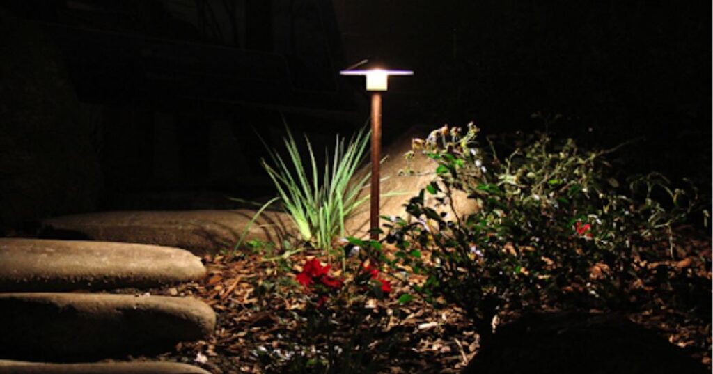 LED lighting in a night garden