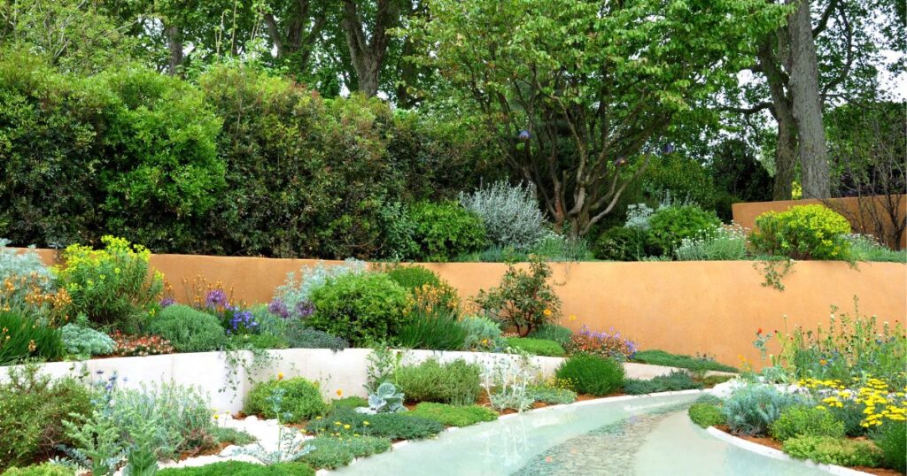 Mediterranean garden with a walkway